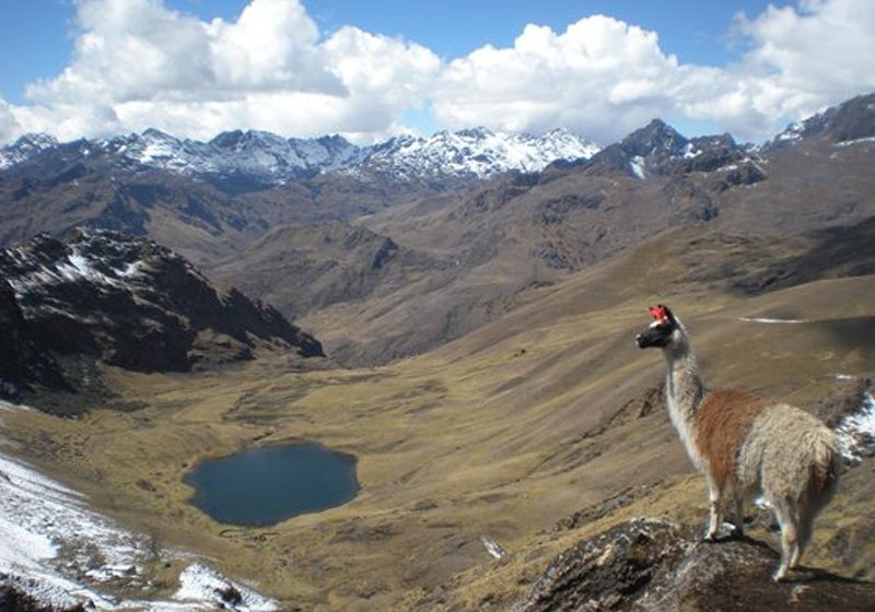 lares trek machu picchu camino inca salkantay