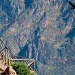 Cañon del Colca 1 dia