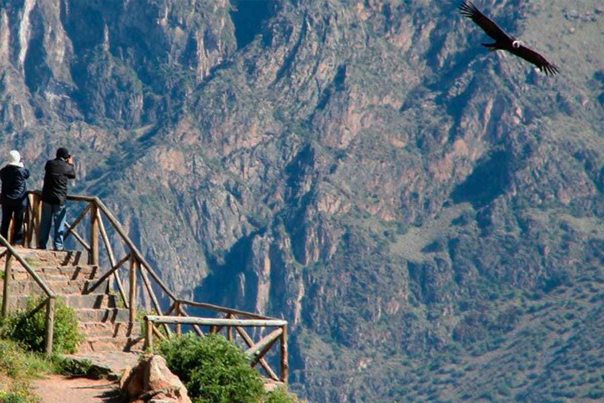 Cañon del Colca 1 dia - Detail 3