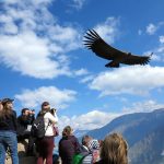 Trek Cañon del Colca 2 dias