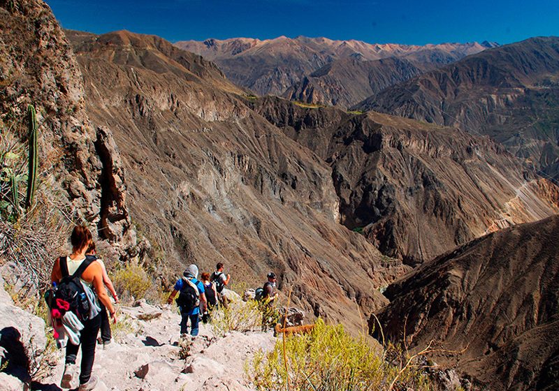 cañon del colca tour arequipa caminoincasalkantay.com