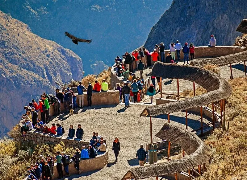 Valle Del Colca 3 dias - Detail 3