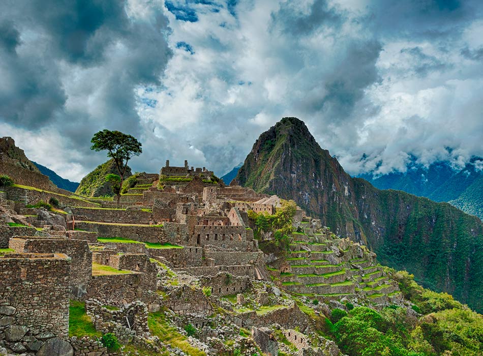 Traveling by Train Machupicchu From Poroy 1 day