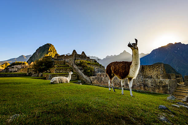 Dream Journey Machu Picchu 7 Days - Detail 2